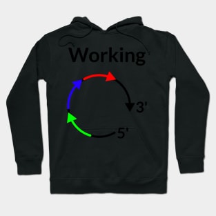 Working 5 to 3! Hoodie